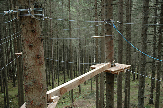 Modelle - Wald Hochseilgarten