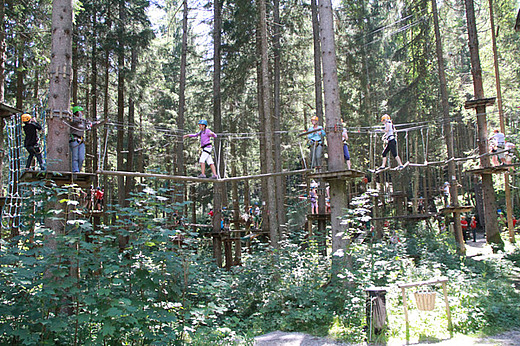 Modelle - Abenteuerpark/Kletterpark